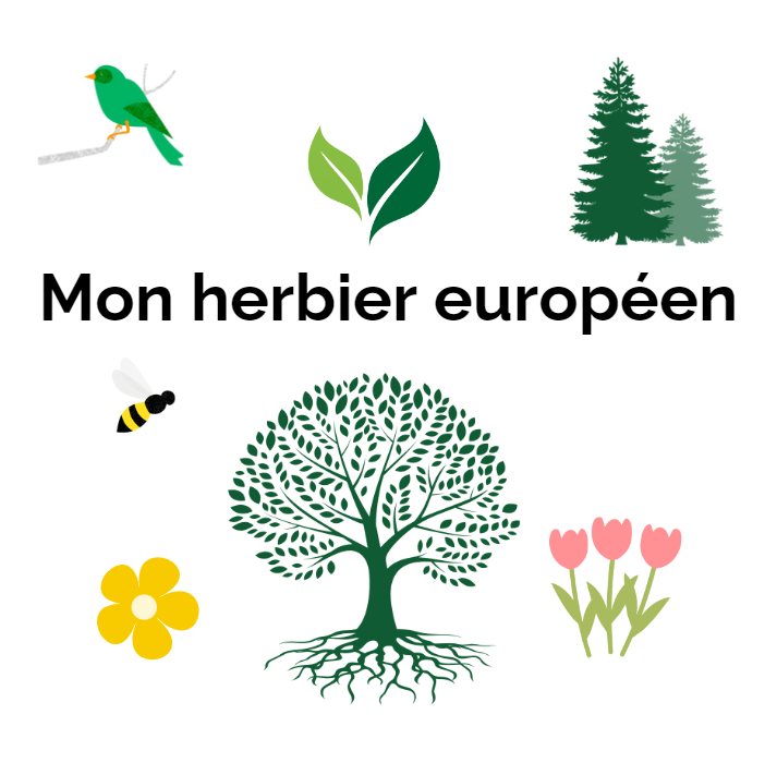 Mon herbier européen